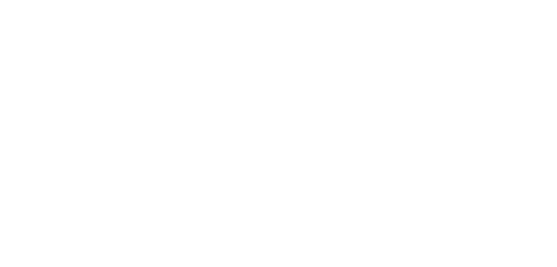 MAGNAMEDICA